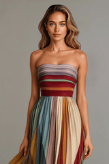 Elanira - Pleated Rainbow Maxi Dress