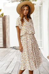 Madelina - Elegant Multi-Colour Dress